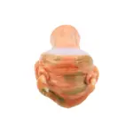 Monster 172 Orange - Glass Pipe - Image 3